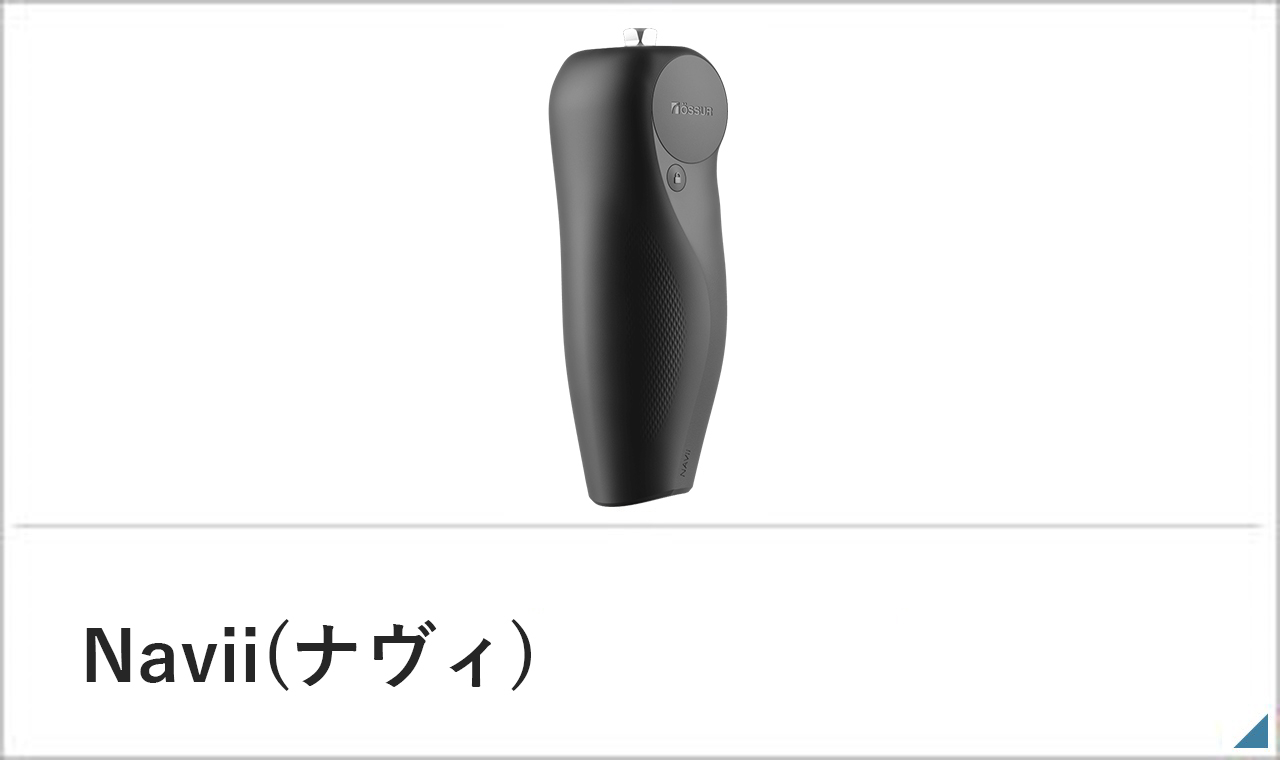 ナヴィ