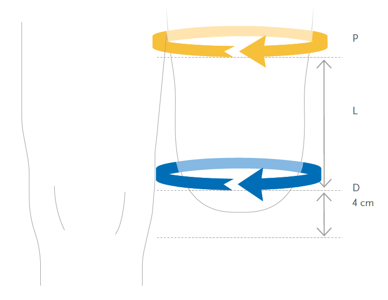 thigh_4_seal_classic_01