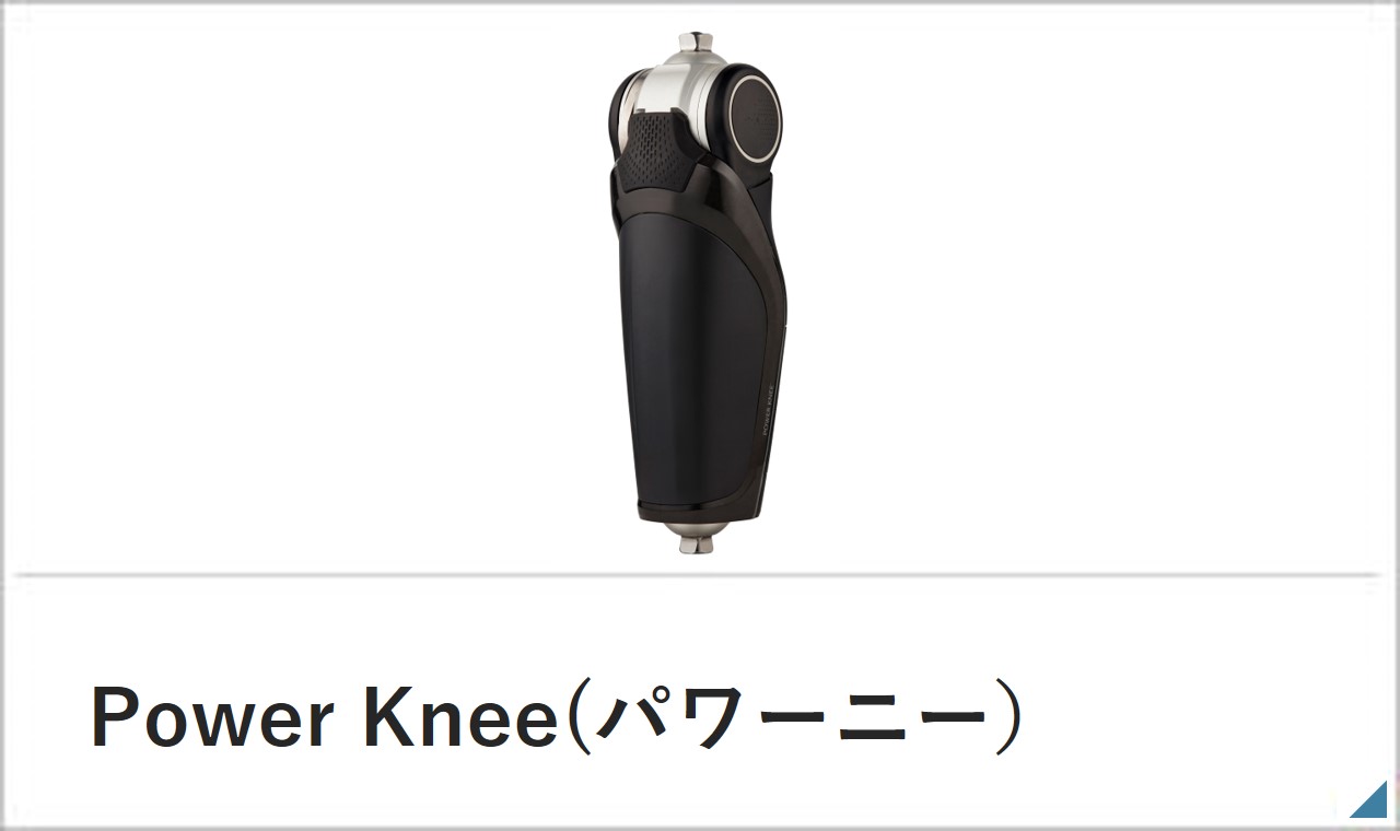 パワーニー