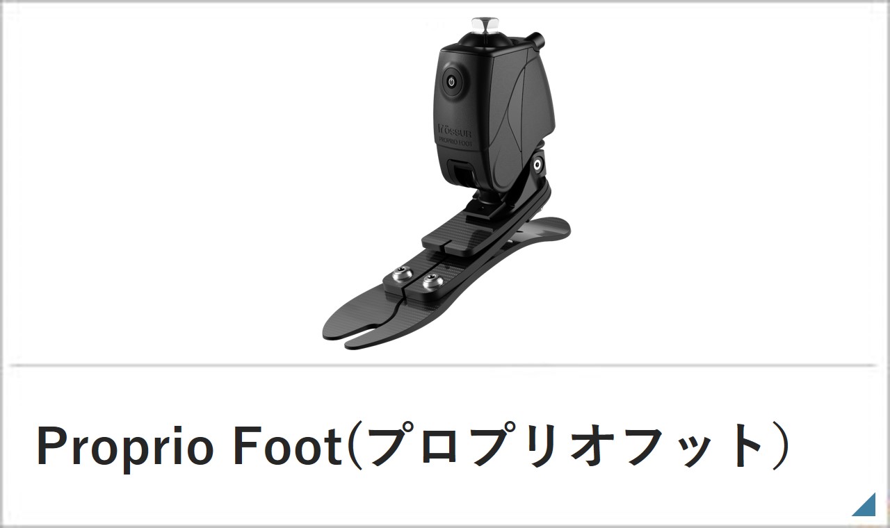 プロプリオフット