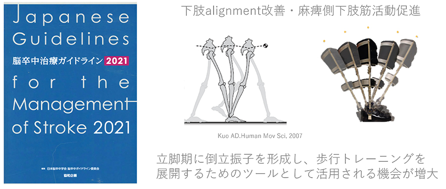下肢alignment改善・麻痺側下肢筋活動促進。立脚期に倒立振子を形成し、歩行トレーニングを 展開するためのツールとして活用される機会が増大