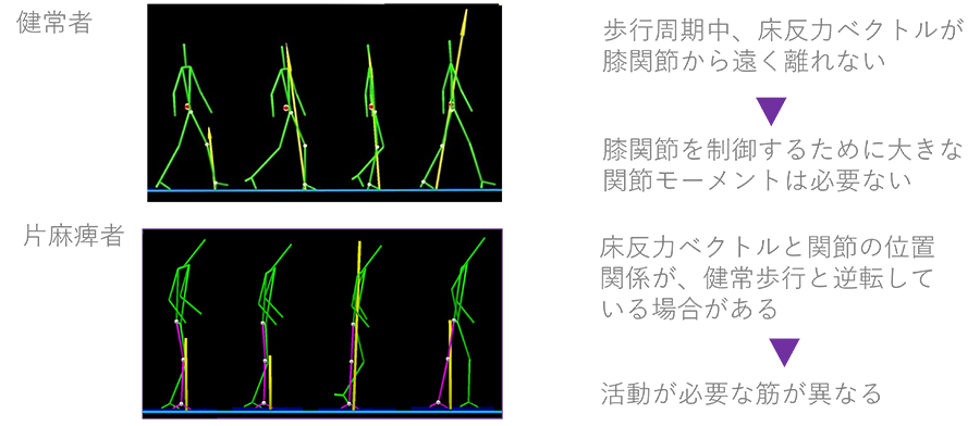 歩行中の膝関節制御の考え方の説明図です
