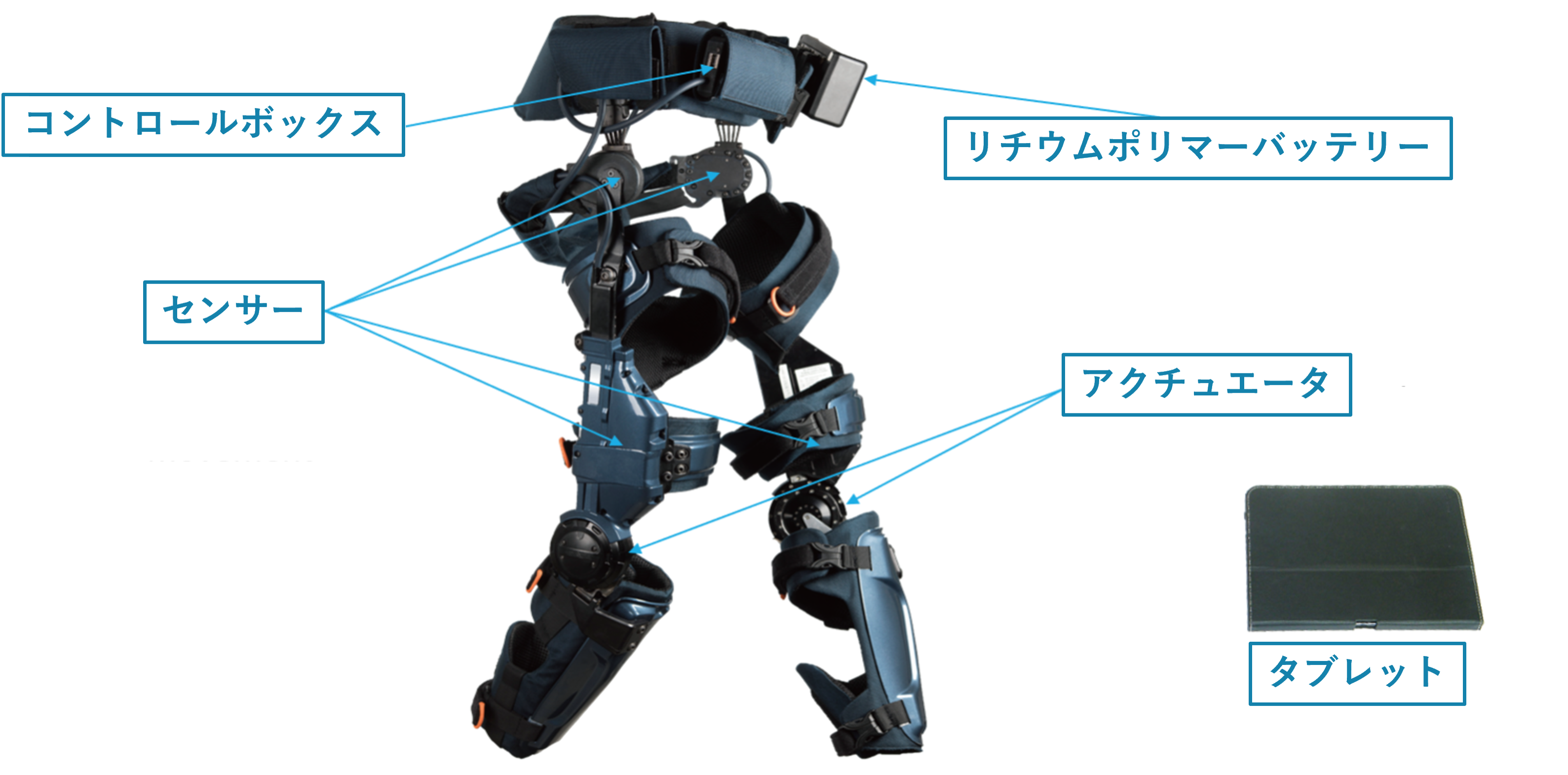 エクソスケルトン型歩行補助ロボットKeeogoの構造イラスト