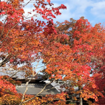 第27回日本義肢装具士協会学術大会　共催セミナー 「脳卒中片麻痺患者に対する装具の選定－義肢装具士に期待する役割－」