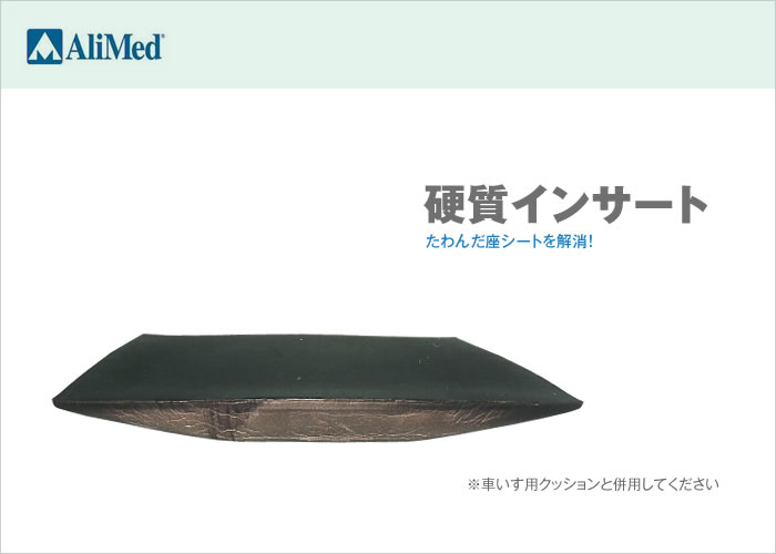 硬質インサート